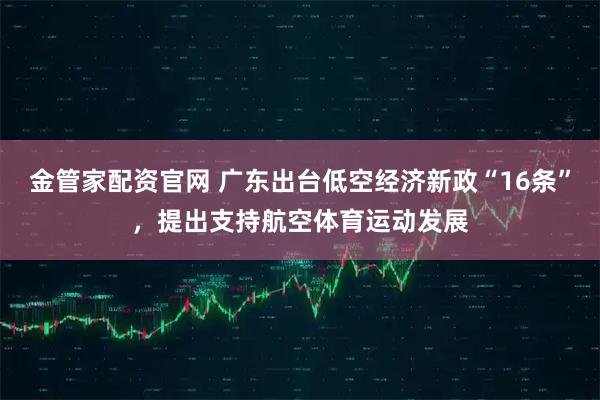 金管家配资官网 广东出台低空经济新政“16条”，提出支持航空体育运动发展