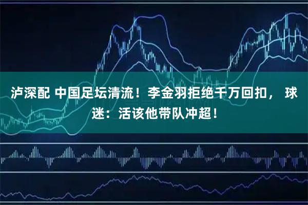 泸深配 中国足坛清流！李金羽拒绝千万回扣， 球迷：活该他带队冲超！