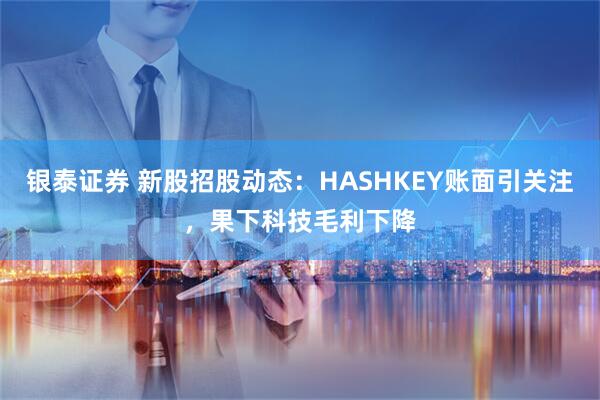 银泰证券 新股招股动态：HASHKEY账面引关注，果下科技毛利下降