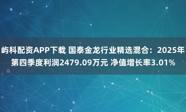 屿科配资APP下载 国泰金龙行业精选混合：2025年第四季度利润2479.09万元 净值增长率3.01%